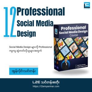 Professional Social Media Design