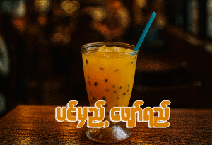 ပင်မှည့်ဖျော်ရည်