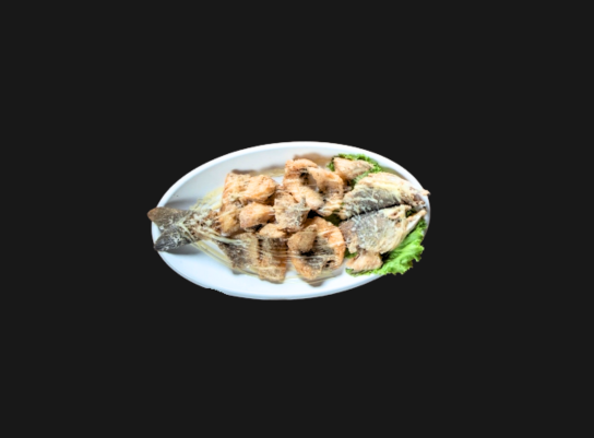 ငါးမရိုးနစ် (ကကတစ်)