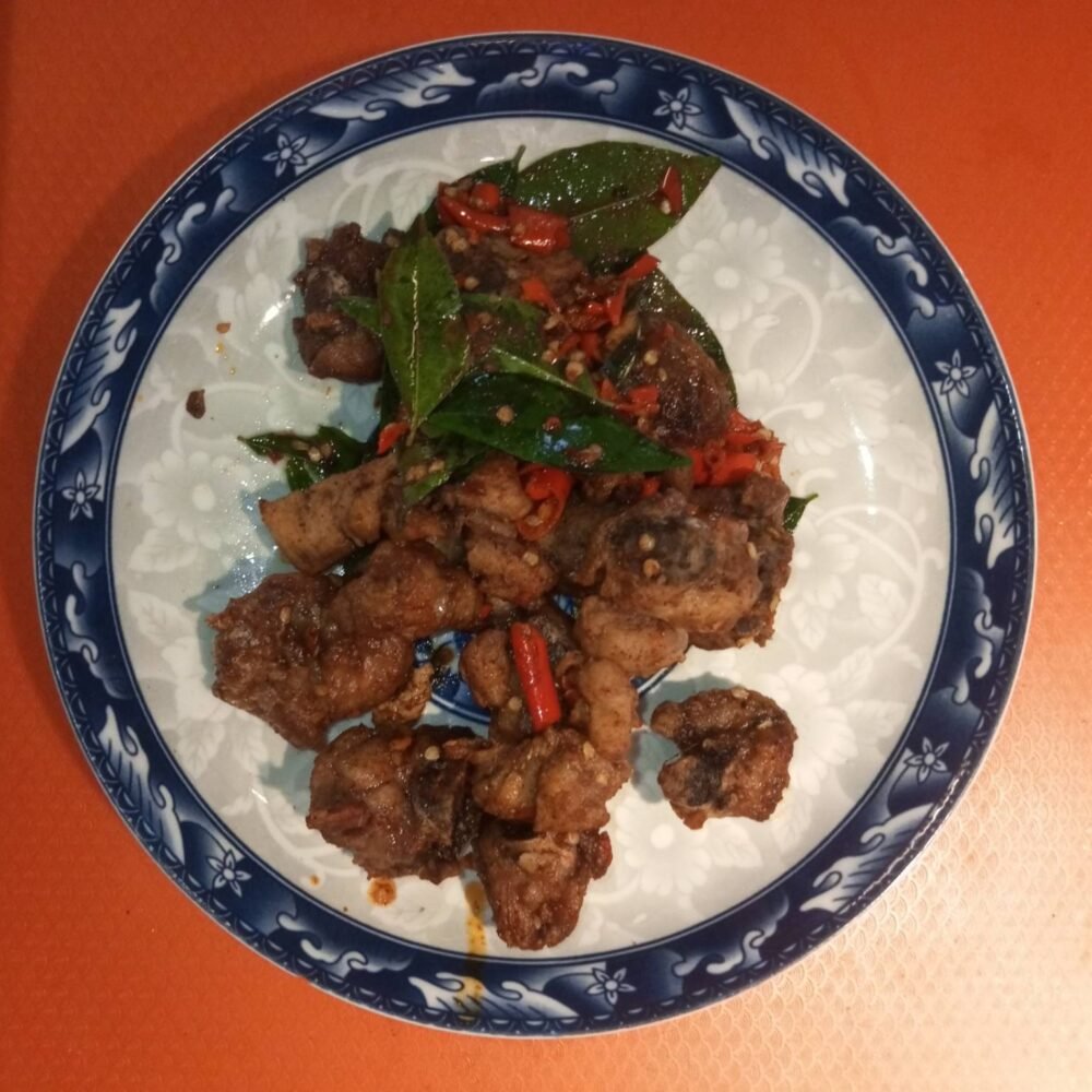 ကြက်တောင်ပံအစပ်ကြော်