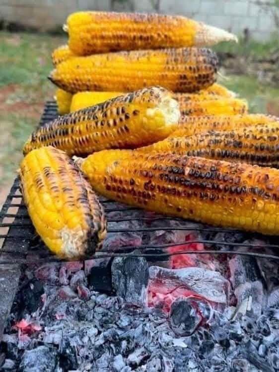 ပြောင်းဖူးကင်