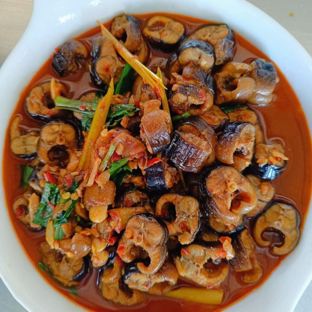 ငါးရှဥ့်တောချက်